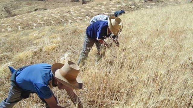 ¿Cuándo pagarán el bono rural de 760 soles?