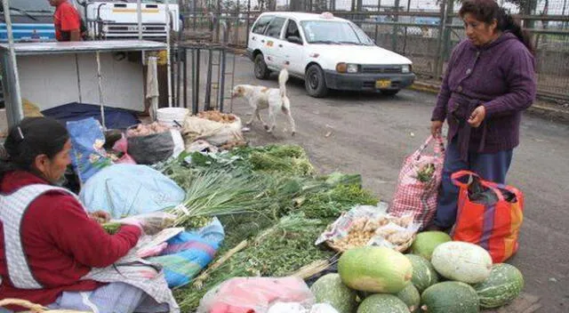 Conoce otras opciones a parte del mercado de Caquetá.