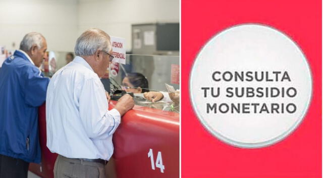 Consulta AQUÍ por el subsidio monetario del bono familiar universal.