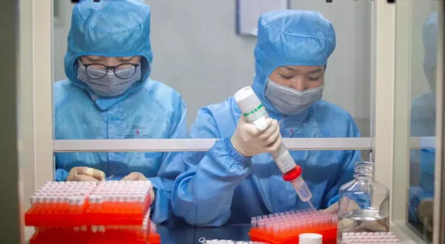 Adimmune planea acelerar el proceso para las pruebas de la vacuna en humanos.