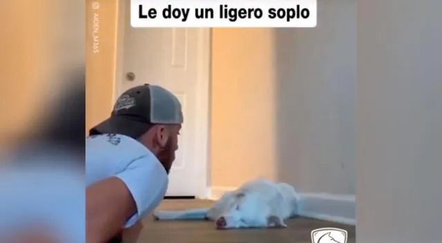 El joven conmovió a todos con el tierno video de su perrita.