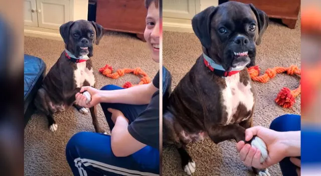 El perrito mostró su sonrisa al estar junto a su dueño.