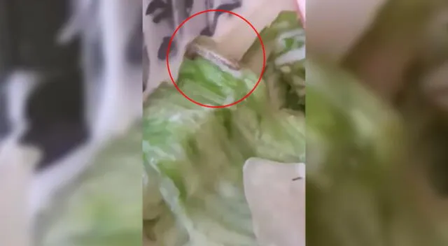 Cibernauta asegura haber encontrado un gusano en su ensalada.