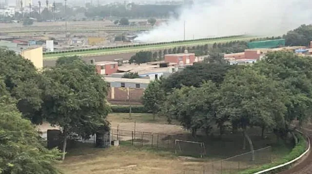 Los bomberos se encargaron de apagar esta incineración de maleza en las instalaciones del Jockey Club.