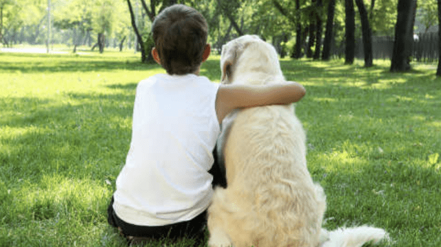 El menor esperó junto al perro hasta que llegaran los veterinarios de su localidad en Turquía.