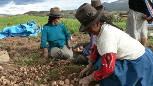 El Bono rural se otorgará a las familias más vulnerables del Perú.