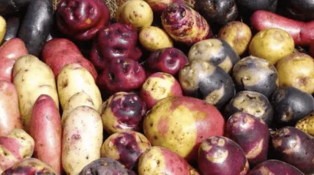 La papa contiene gran cantidad de valores nutricionales que te ayudarán a estar saludable durante la cuarentena.