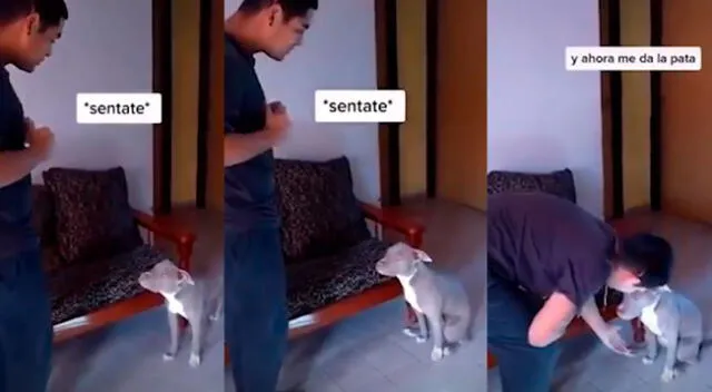 Hombre muestra cómo enseño trucos a su perro por lenguaje de señas.