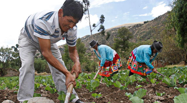 Se invertirá en innovación y soporte tecnológico a fin de mejorar la productividad y a la vez la competitividad de nuestros agricultores.