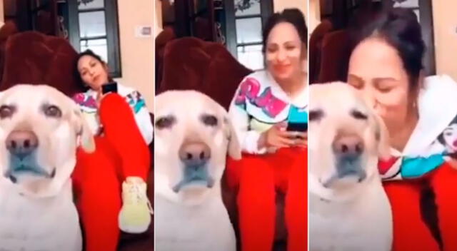 Perro se ha vuelto tendencia en las redes sociales al bailar la canción de Yola Polastry.