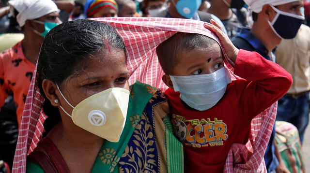 OMS: Virus de Nipah, la nueva enfermedad que azota la India y ha cobrado la vida de casi todas sus víctimas