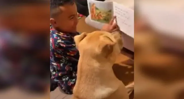 En redes sociales, se hizo viral la inocencia de un pequeño por intentar enseñarle a su cachorro a leer un cuento durante la cuarentena.