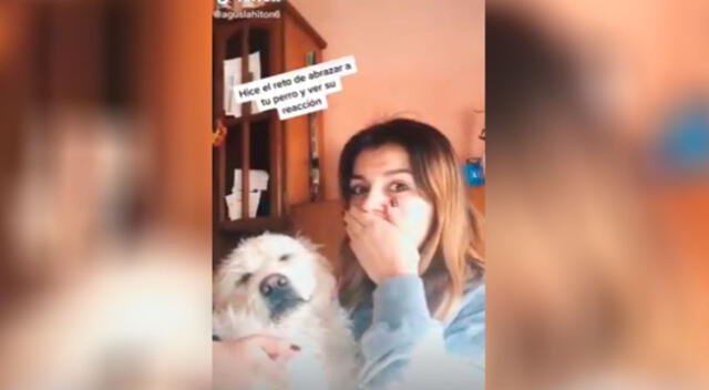 La reacción del perro conmovió a todos en las redes sociales.