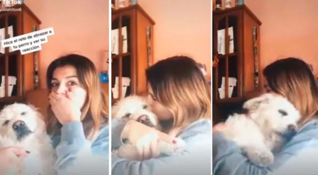 La reacción del perro conmovió a todos en las redes sociales.