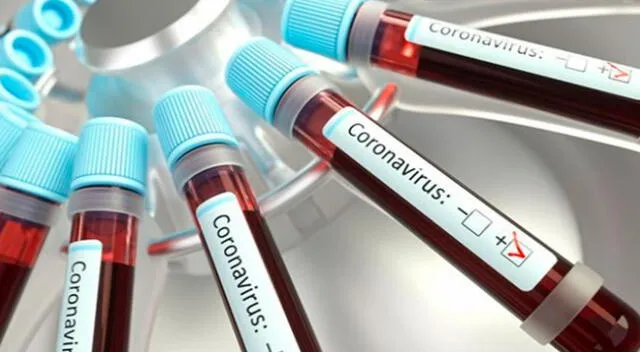 Anticuerpos de coronavirus no protegen a largo plazo, según estudio.