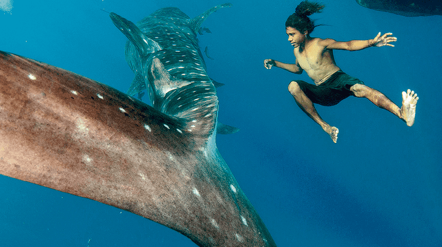 Hombre salva de morir tras nadar con tiburones por 4 horas