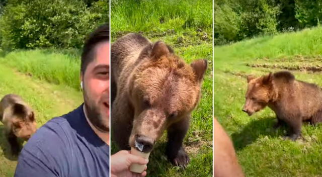 Oso protagonizó un tenso momento con un joven por un helado.