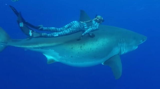 Un australiano dejó en shock a todos al aguantar horas en el mar junto a tiburones, tras quedar varado por un accidente de barco en Coral Bay.