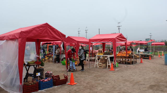 Comerciantes informales serán reubicados en mercados temporales