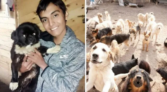 El fallecimiento de Edwin Ramírez ha conmovido a miles de internautas en Facebook que ahora piden apoyo para alimentar a los perros de su albergue en Puente Piedra.
