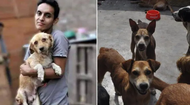 Edwin Ramírez falleció y ha causado alboroto en redes sociales porque usuarios reclaman que albergue siga ejerciendo la labor del joven de proteger a los indefensos cachorritos.
