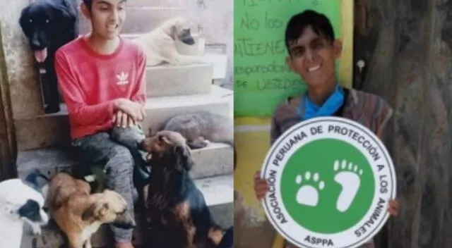 ¡Lamentable noticia!  Edwin Ramírez Neyra falleció y miles en Facebook han compartido mensajes de agradecimiento  por la gran labor de cuidar y rescatar animales.