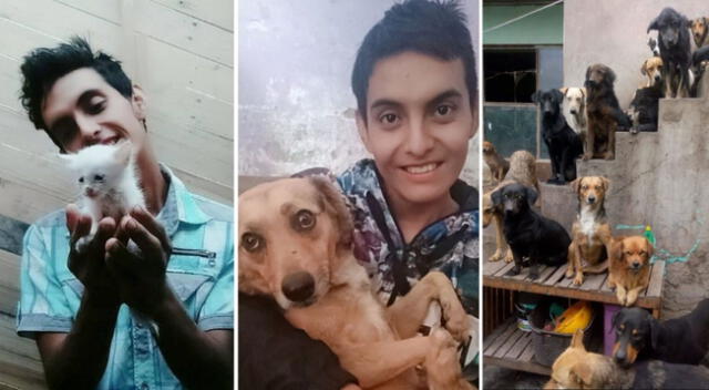 Tras la lamentable pérdida de Edwin Ramírez Neyra, conocidos y amigos pidieron a la ciudadanía apoyo para los animales que cuidaba el joven en su albergue.