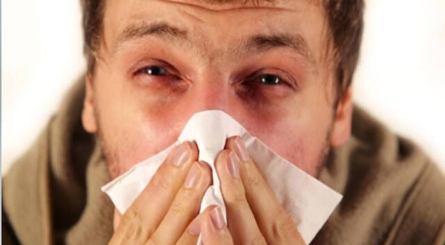 Día Mundial de la Alergia: Tips para remedios caseros AQUÍ.