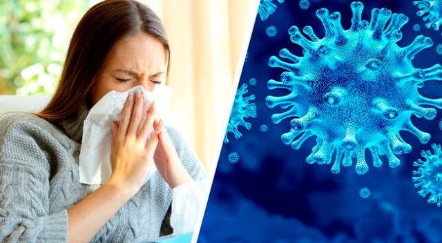 Estudio demuestra que la alergia no aumenta el riesgo de contraer covid-19