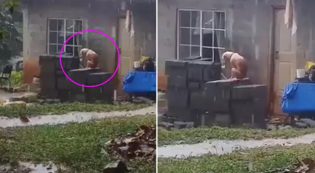 El perro intenta protegerse de la lluvia bajo el techo de una casa.