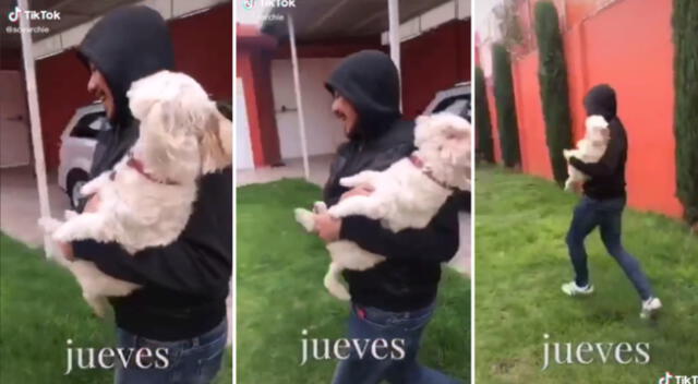 La joven entrenó a su mascota para que ladrara por ayuda.