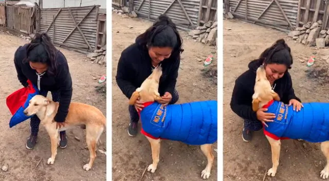 Jazmín y su albergue, han tenido que duplicar esfuerzos para seguir ayudando a los gatos y perros de la calle durante el estado de emergencia, brindándoles comida, abrigo y refugio.