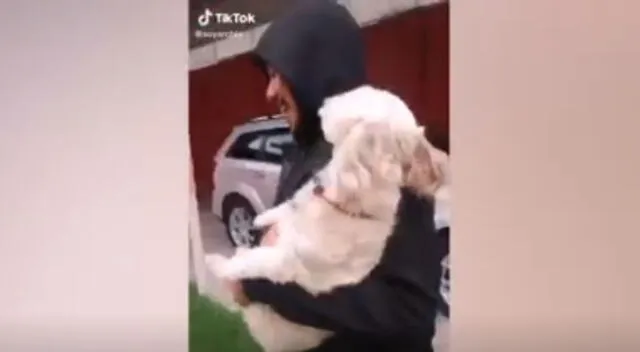 Dueña quiso entrenar a su 'can' para que la alerte cuando alguien intente llevárselo, convirtiendo el momento en viral en TikTok.