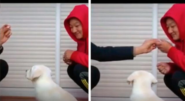 En este mes, un video se volvió viral en TikTok por joven que emita ladrido de su cachorro para que su perro aprenda a pedir comida.