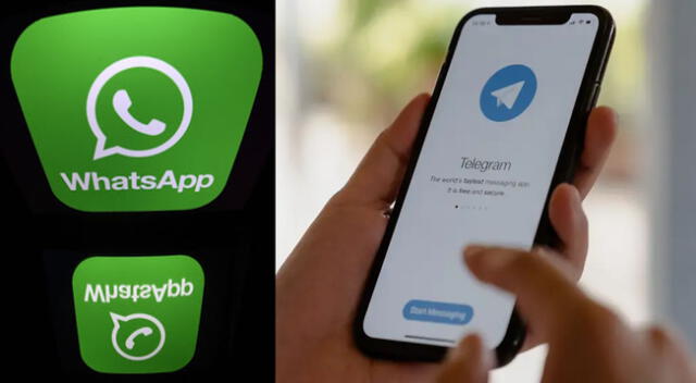 Telegram llamó la atención tras hacerse tendencia en las últimas horas.