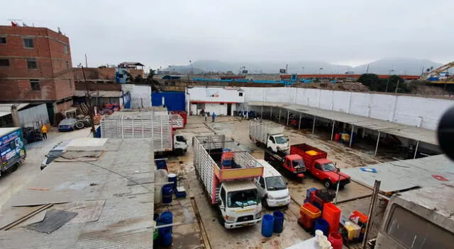 Sostiene que estas personas llegan entre las 12 y 1 de la mañana para pelar pollos y los llevan a un bazar del distrito de San Martín de Porres