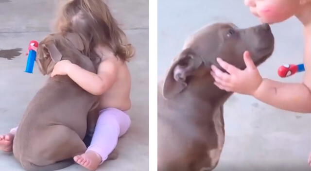 Niña y su pitbull