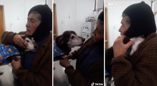 El reencuentro entre la abuelita y su perrito se hizo tendencia en redes sociales.