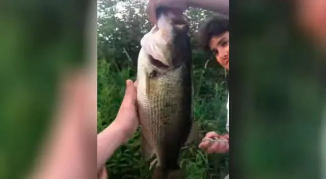 Jóvenes atraparon un gran pez, pero no contaron que el animal terminara escapándose