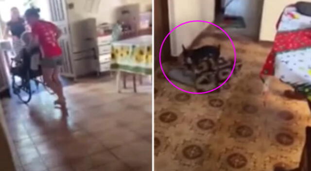El video de la conmovedora bienvenida del can se hizo viral en redes sociales.