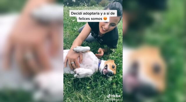 La perrita aún tiene secuelas del maltrato que sufrió.