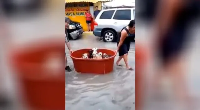 Familia se vuelve viral por rescatar a perros durante el huracán Hanna.
