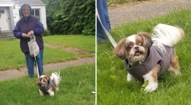 La perrita se sorprendió al ver a su peluquera.