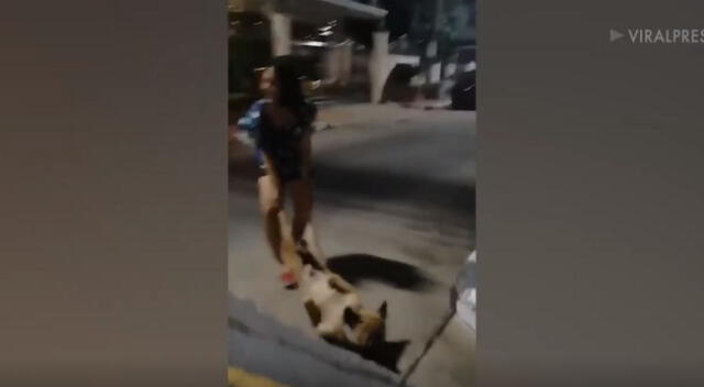 Un divertido viral de YouTube nos muestra a un perro quería seguir paseando, pero su dueña se negó y el se tiró al piso para que no lo regresaran a la casa.