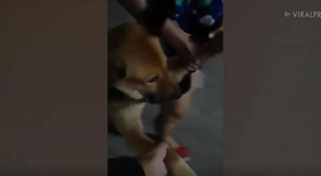 En el clip se observa cómo la mujer jala a su travieso perro por toda la calle, debido a que él se negó a obedecer las órdenes de su dueña para regresar a casa