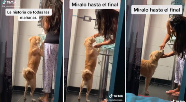 El perrito tiene su propia pasta de dientes.