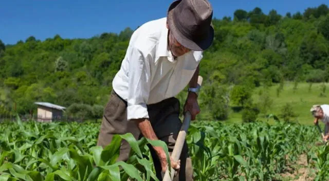 Muchos agricultores han tenido que frenar sus actividades debido a la emergencia sanitaria.