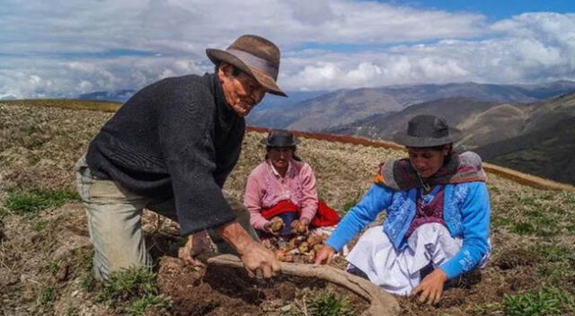 Muchos agricultores han tenido que frenar sus actividades debido a la emergencia sanitaria.