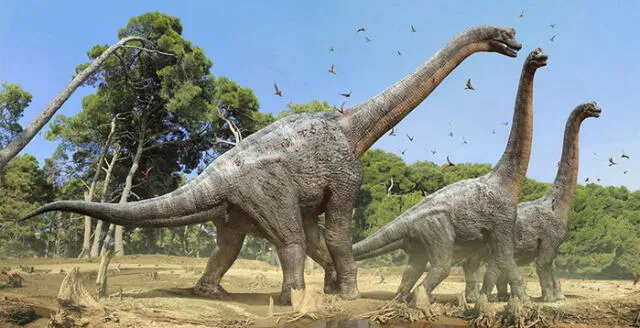 Los dinosaurios empiezan su extinción en el período Cretácico.