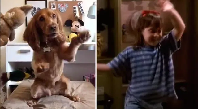 Perrito protagonizando icónica escena de Matilda.